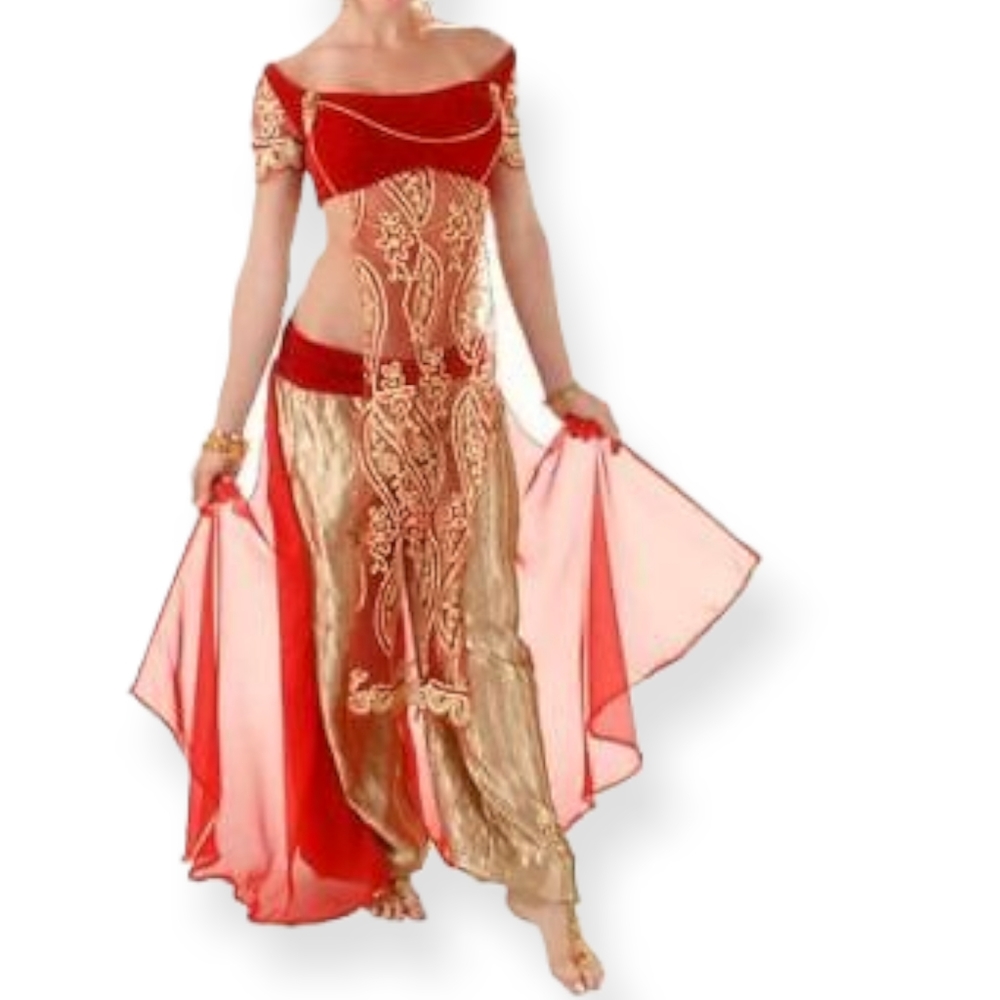 Belly Dancer Women's costume Size S